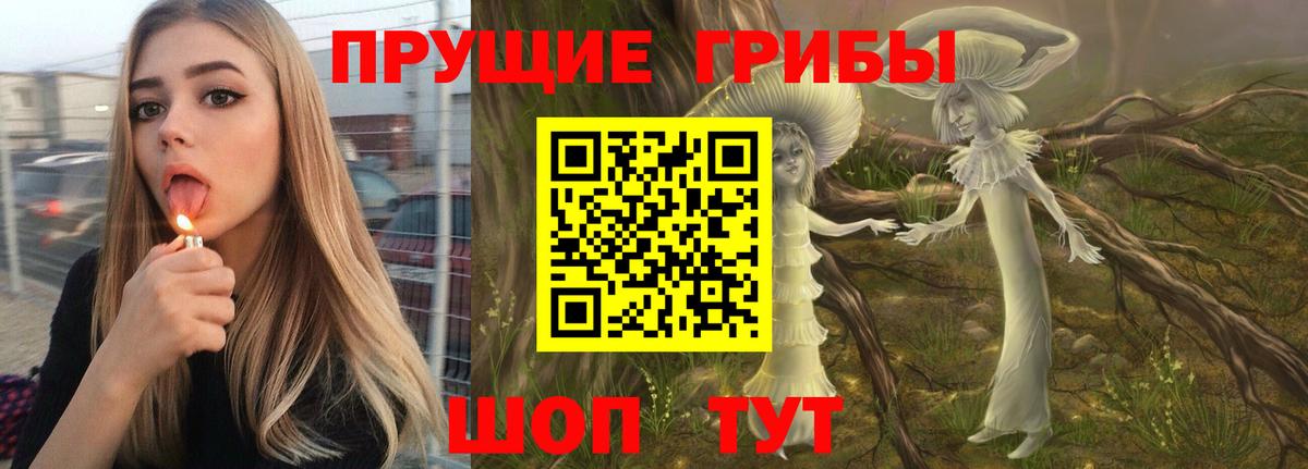 Торжок  Галлюциногенные грибы мицелий  Вход с VPN 